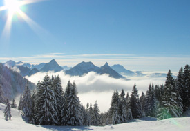 Fribourg Panorama